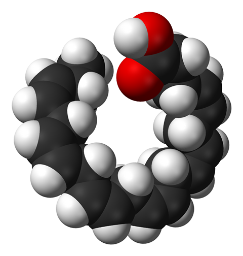 Space-filling model of the docosahexaenoic acid (DHA) molecule, C22H32O2.