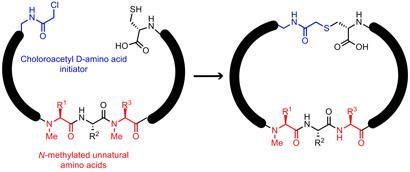 Schematic-diagram-RNA-transcription_410