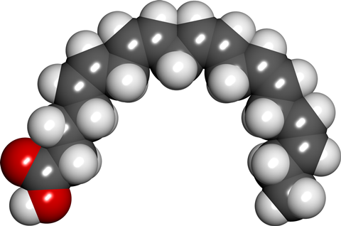 A space filling diagram of eicosapentaenoic acid (EPA).