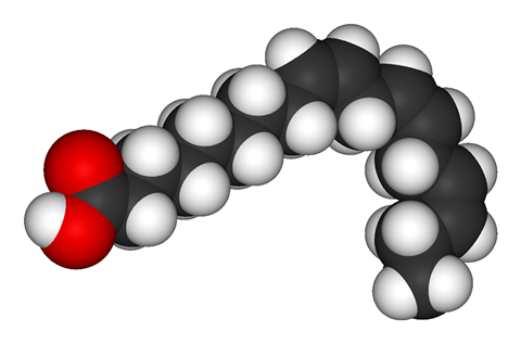 A space filling diagram of α-Linolenic acid (ALA)