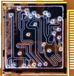 FEATURE-microfluidics-250