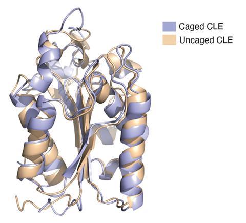 An image of two overlaid swirly, helical bands representing protein structures