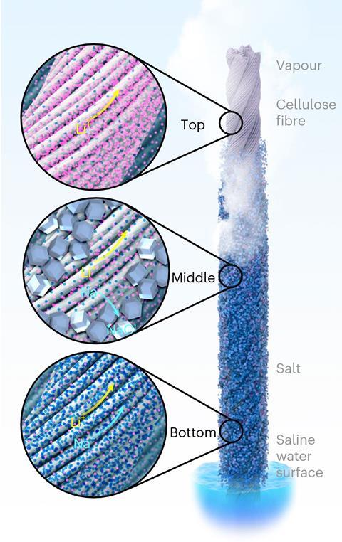 A digital illustration showing on a string hanging in a mixed salt solution sodium crystal form at the bottom and lithium crystals at the top with a mixture in the middle