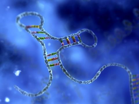 RNA interence