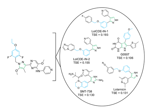 Molecular diagrams