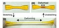 Images showing a double-network hydrogel