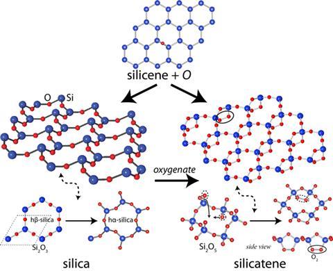 Silicene allotropes