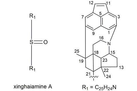 Proposed chemical structure of xinghaiamine A.