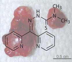 mouse-melanoma-250