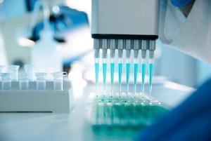 Advancing animal testing alternatives | Business | Chemistry World
