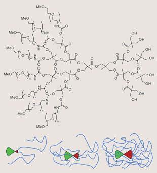 FEATURE-dendrimers-310