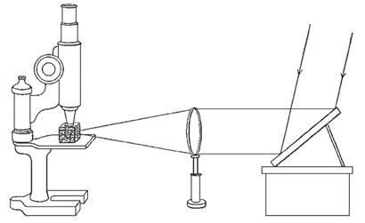 Illuminating colloidal particles from the side scatters light, making them visible