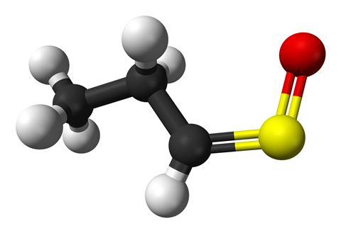 Syn propanethial-S-oxide structure