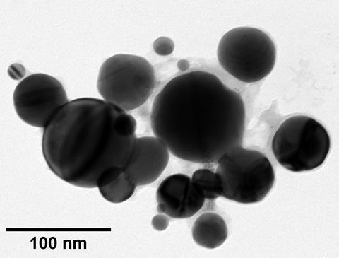 A greyscale image of a tight group of different sized round objects. There is a scale bar of one hundred nanometres which measures slightly longer than the width of one of the larger objects and about two to three times the width of the smaller ones.