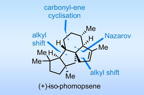 Iso-phomopsene