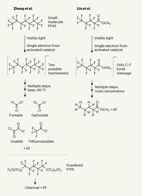 PFAS contain numerous carbon–fluorine (C–F) bonds and resist degradation.