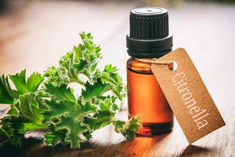 Mosquito repellent. Citronella essential oil and fresh leaves on wooden background. 