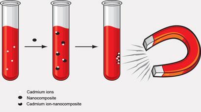 cadmium-blood-separation_410