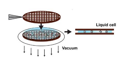 Crystals are sandwiched in a liquid cell between two circular meshes while a vacuum removes air