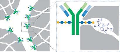 antibodies_c2sc20125a-ga_410