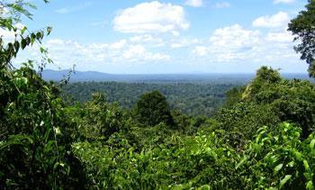 Amazon_rainforest-350