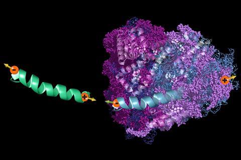 Chiral helical peptide interacting with a portion of protein with same chirality - Index