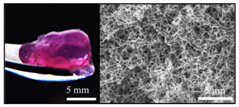 Photograph of a PA-H/KN hydrogel