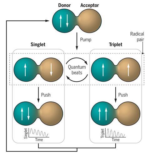 An image showing quantum beats