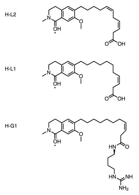 Hyloin chemical structures, as seen in fluorescent frogs