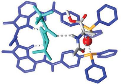 cofactor-catalysis_410