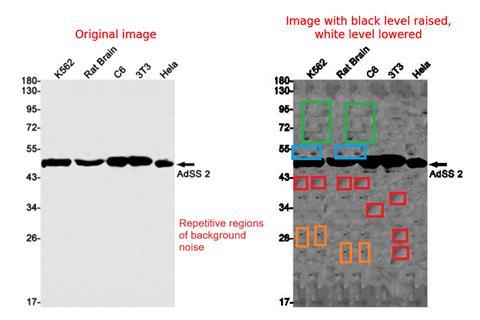 Antibody data