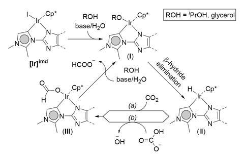 A scheme showing a plausible catalytic cycle for the present CO2- transfer hydrogenation protocol
