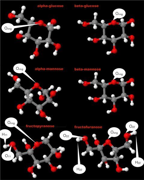 sugar molecular structure