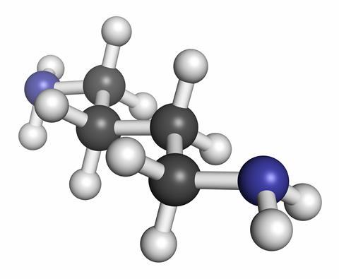 Putrescine molecule
