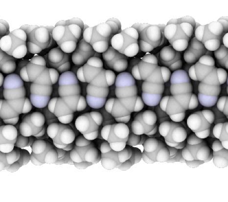 An image showing the asotozome membrane