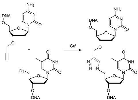 gene synthesis