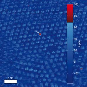 porphyrin-300