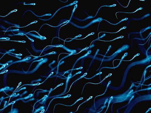 Illustration of human sperm