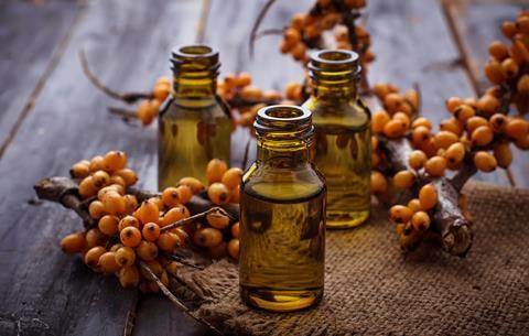 Sea buckthorn berries and oil