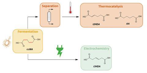 Diagram showing a hybrid approach: a bacterial ferment followed by either electrochemistry or traditional synthesis