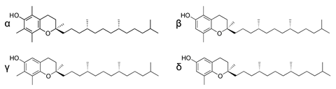 Tocopherols – structure of alpha, beta, gamma and delta forms