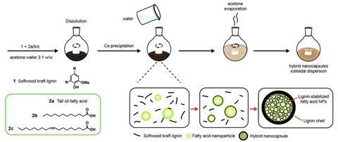 An image showing the one-pot method and a proposed formation mechanism of hybrid lignin-fatty acid nanocapsules