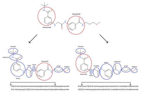 An image showing a large chemical structure. Different parts are circled in different colours to show the individual functional groups important for naming. Two long names are written out underneath