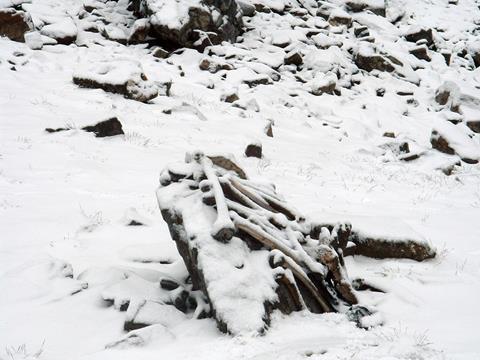 An image showing snow-covered disarticulated skeletal elements at Roopkund Lake