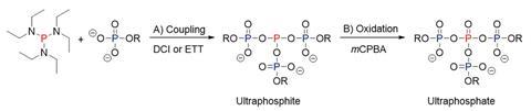 An image showing the synthesis of ultraphosphates