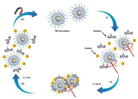 TM nanorobots formulation