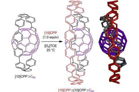 Formation of the ternary complex