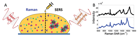 Surface-enhanced Raman spectroscopy and Raman Spectroscopy