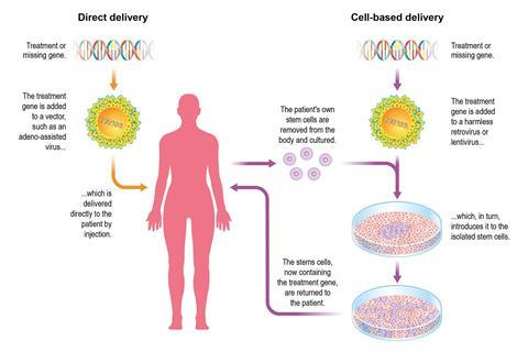 A diagram showing gene therapy delivery methods