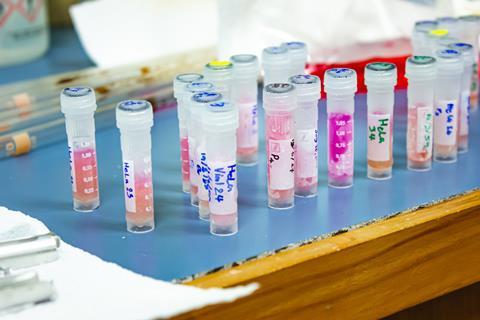 Plastic sample cryovial tubes labelled as containing HeLa cell cultures on a bench in a modernlab